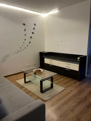 Apartament 2 camere sector 3 - imagine 5