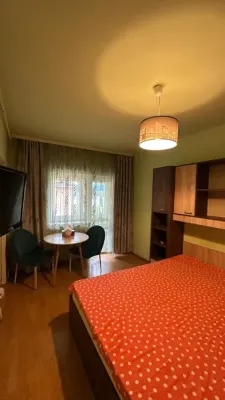 Garsoniera Siretului de inchiriat - imagine 5