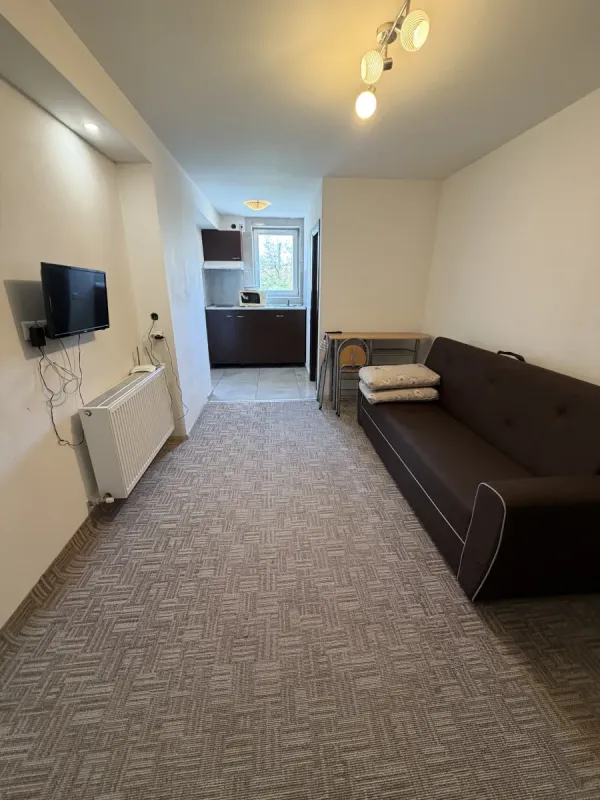 Apartament 2 camere de închiriat – Titan Auchan - imagine 2