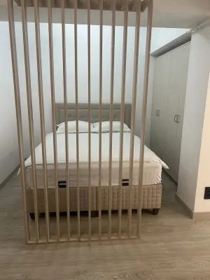 Studio/Garsoniera Lux & Elegant - imagine 2