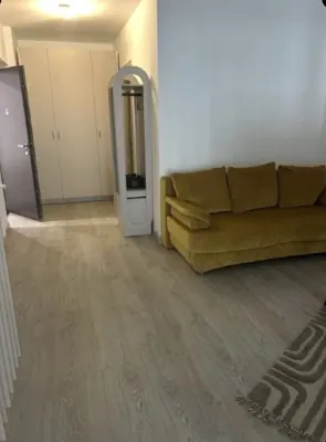 Studio/Garsoniera Lux & Elegant - imagine 4