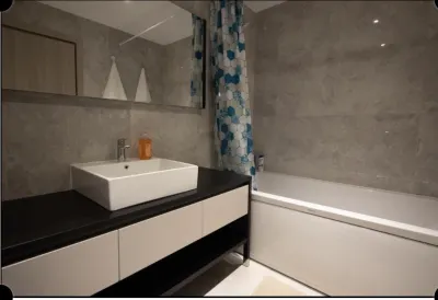 Studio/Garsoniera Lux & Elegant - imagine 5